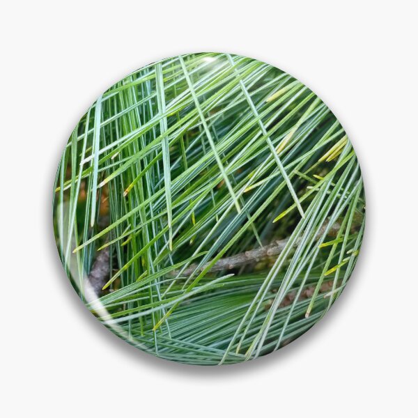 Item preview, Green Pine Needles designed and sold by bjtomiko.