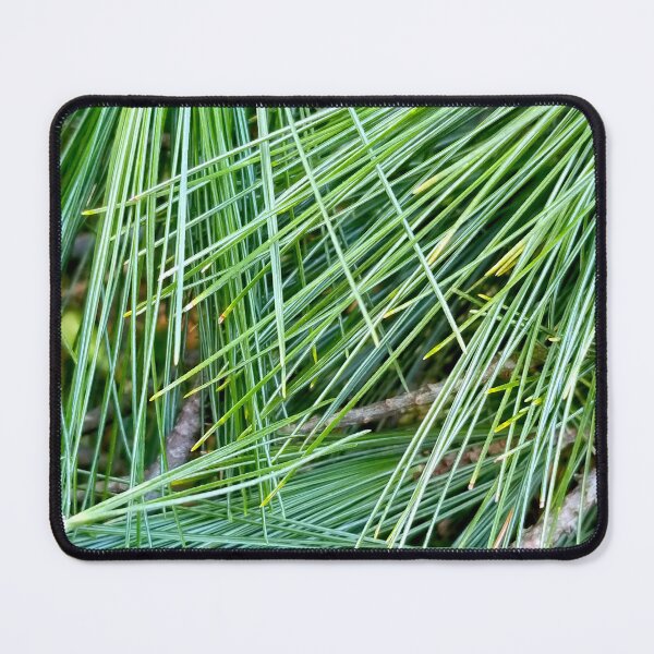 Item preview, Green Pine Needles designed and sold by bjtomiko.