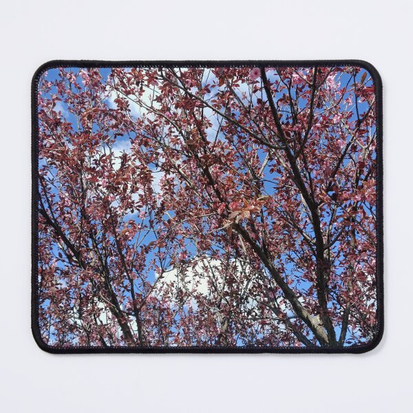 Item preview, Pink blossom tree photography  designed and sold by MindfulArtSandy.