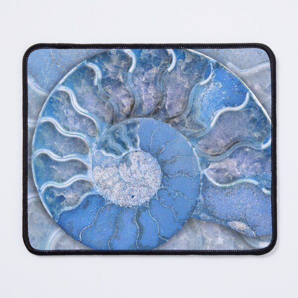 Item preview, Fossil Ammonite - cool blue tones - Ancient Nautilus Shell designed and sold by Nadya Neklioudova.