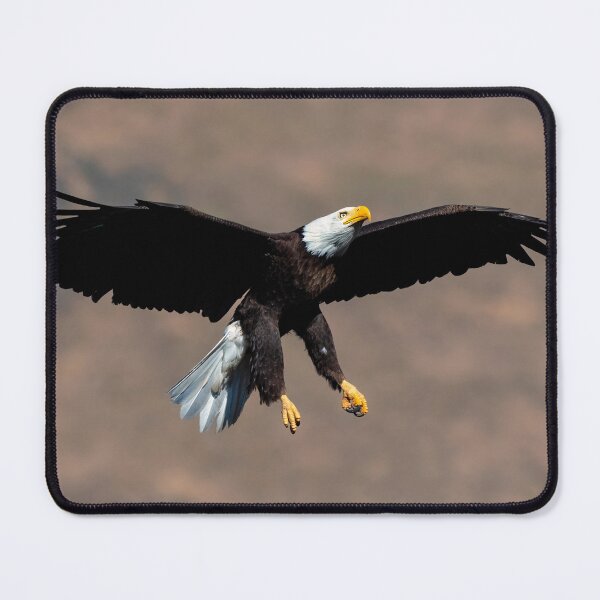 Item preview, Eagle Ascent designed and sold by DawsonImages.