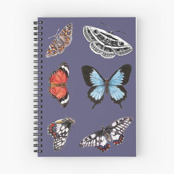 Item preview, Australian Butterflies and Moth Collection on Blue designed and sold by Nadya Neklioudova.