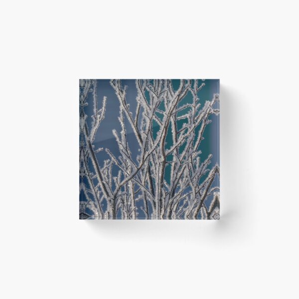 Item preview, Frost on branches on cold morning  designed and sold by Cblifeisgood.