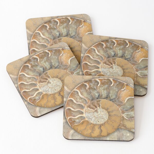 Item preview, Fossil Ammonite - Nautilus Shell - natural earthy tones designed and sold by Nadya Neklioudova.