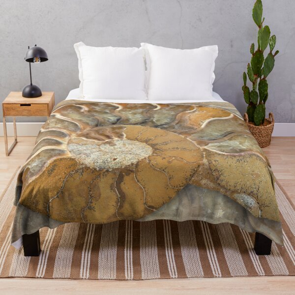 Item preview, Fossil Ammonite - Nautilus Shell - natural earthy tones designed and sold by Nadya Neklioudova.