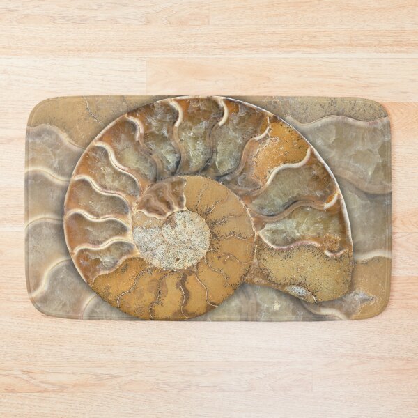 Item preview, Fossil Ammonite - Nautilus Shell - natural earthy tones designed and sold by Nadya Neklioudova.