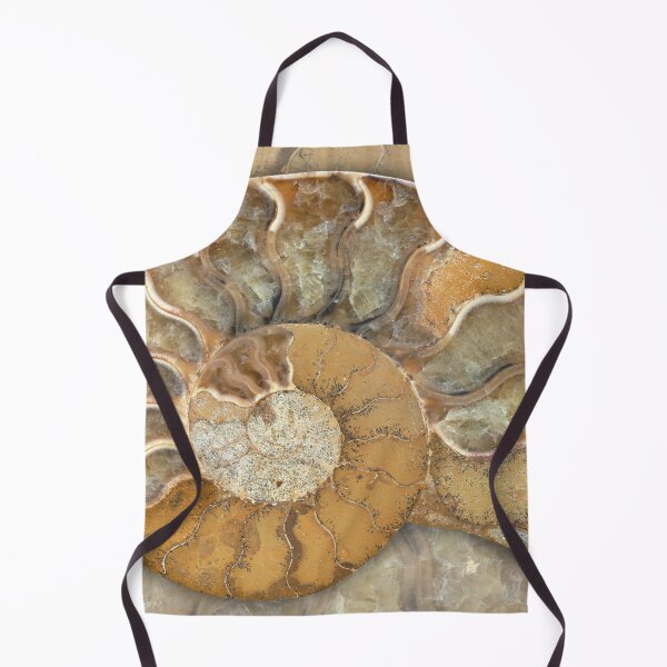 Item preview, Fossil Ammonite - Nautilus Shell - natural earthy tones designed and sold by Nadya Neklioudova.