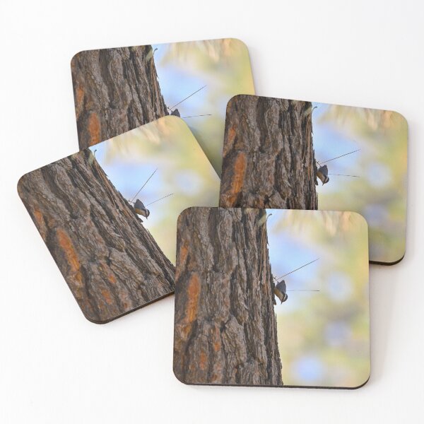 Item preview, Red breasted nuthatch on tree designed and sold by Cblifeisgood.