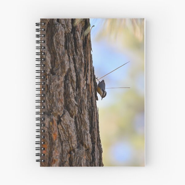Item preview, Red breasted nuthatch on tree designed and sold by Cblifeisgood.