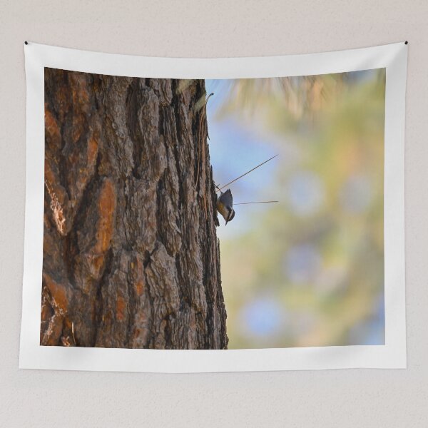 Item preview, Red breasted nuthatch on tree designed and sold by Cblifeisgood.