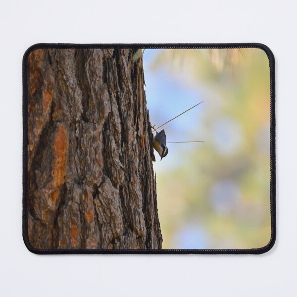 Item preview, Red breasted nuthatch on tree designed and sold by Cblifeisgood.
