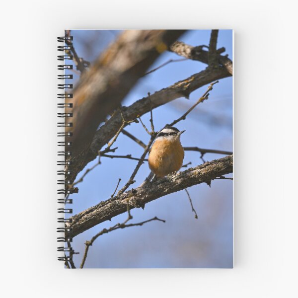 Item preview, Red Breasted Nuthatch on branch designed and sold by Cblifeisgood.