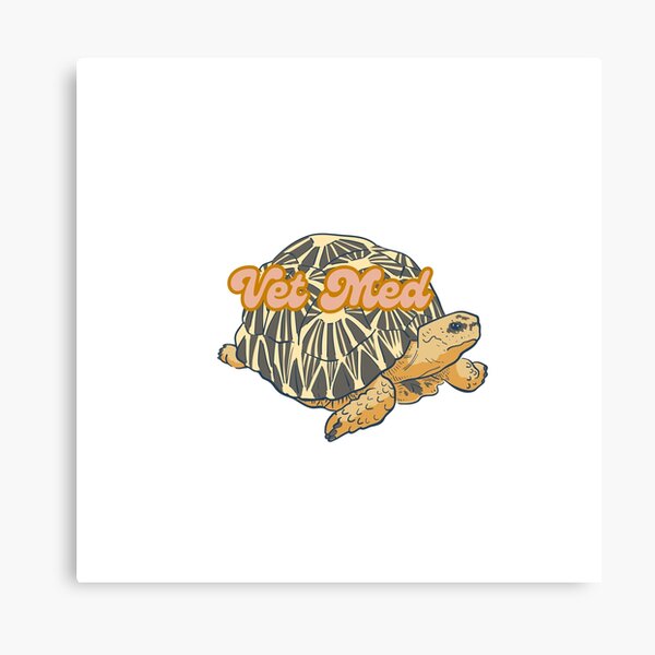 Item preview, Radiated Tortoise Vet Med designed and sold by WildSideVetTech.