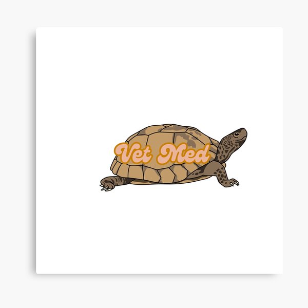 Item preview, Box Turtle Vet Med  designed and sold by WildSideVetTech.