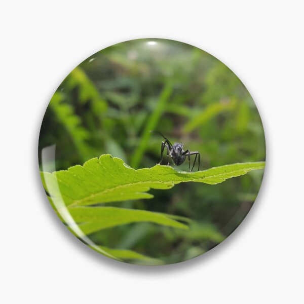 Item preview, Black Carpenter Ant on a Leaf designed and sold by Yusuf-Design.