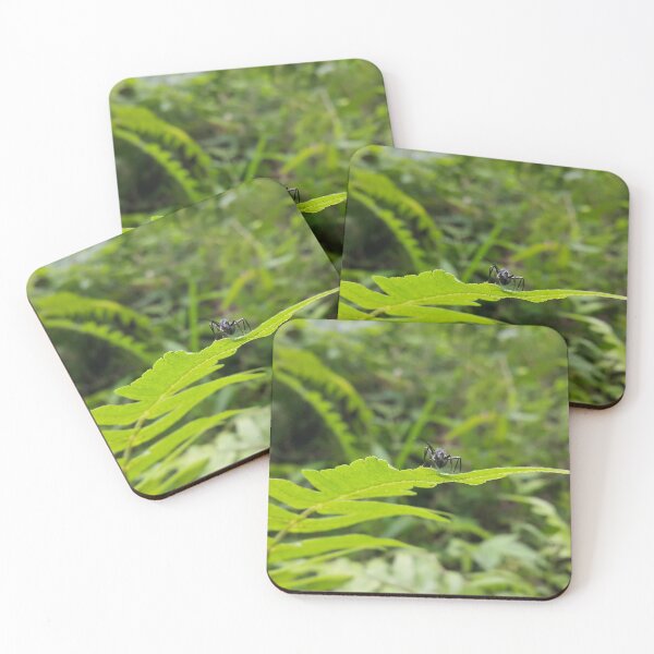 Item preview, Black Carpenter Ant on a Leaf designed and sold by Yusuf-Design.
