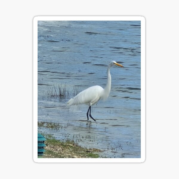 Item preview, Great Egret designed and sold by Toprock4Tees.