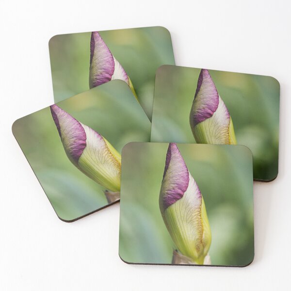 Item preview, Shes Nearly Opening Iris Bud designed and sold by Joy Watson - Natural Light Photography .