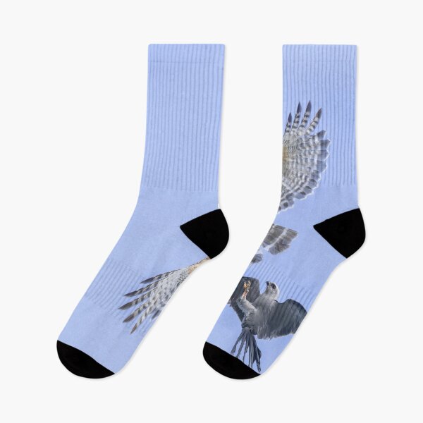 Item preview, Red-shouldered hawk fighting with Mississippi kite designed and sold by Puttaswamy Ravishankar.
