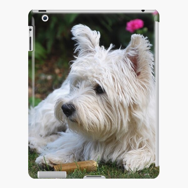 Westie iPad Snap Case