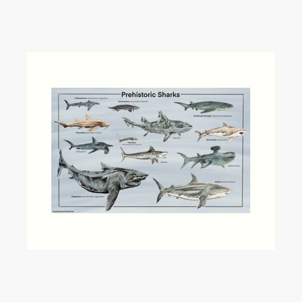 Item preview, Prehistoric Sharks designed and sold by DannyKail.