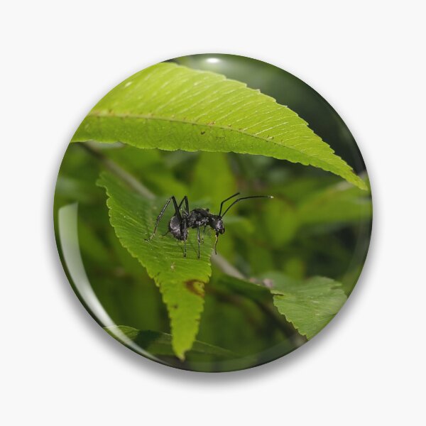 Item preview, Black Carpenter Ant on a Leaf designed and sold by Yusuf-Design.