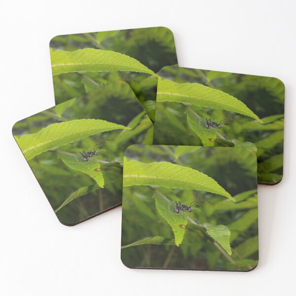 Item preview, Black Carpenter Ant on a Leaf designed and sold by Yusuf-Design.