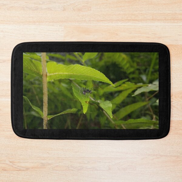 Item preview, Black Carpenter Ant on a Leaf designed and sold by Yusuf-Design.