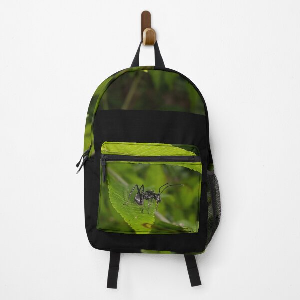 Vista previa del artículo con la obra «Hormiga carpintera negra sobre una hoja», diseñado y vendido por Yusuf-Design.