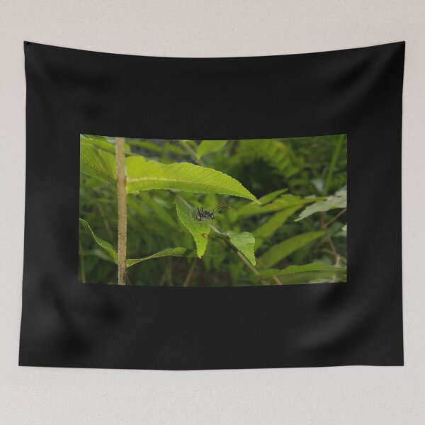 Item preview, Black Carpenter Ant on a Leaf designed and sold by Yusuf-Design.