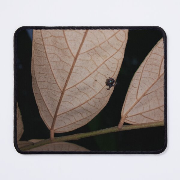 Item preview, Blue Jumping Spider, Nature designed and sold by Yusuf-Design.