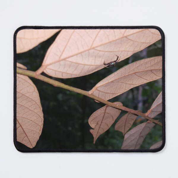 Item preview, Blue Jumping Spider, Beauty in nature. designed and sold by Yusuf-Design.