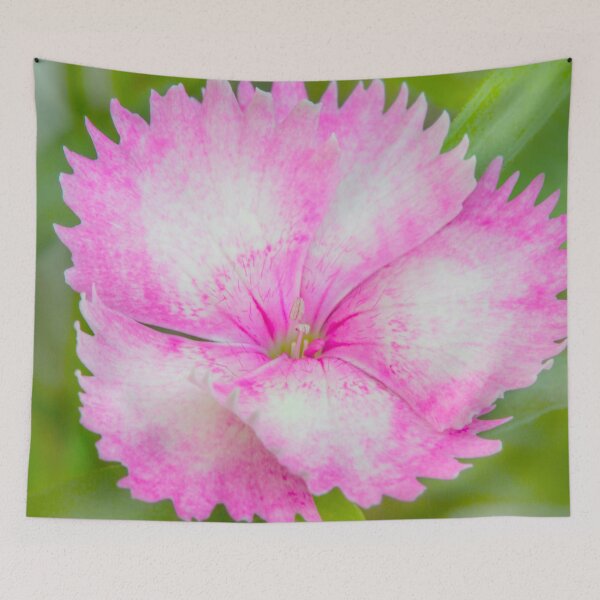 Item preview, Soft Petals designed and sold by Dave Hare Photography.