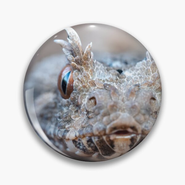 Item preview, Many-Horned Adder (Bitis cornuta) designed and sold by Pixel Press Prints.