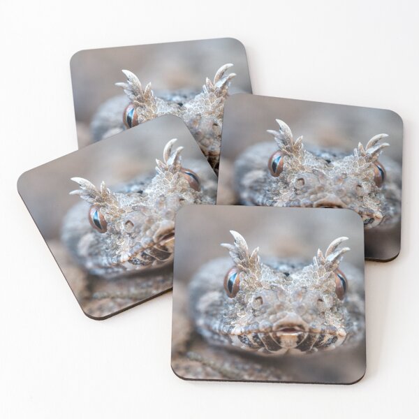 Item preview, Many-Horned Adder (Bitis cornuta) designed and sold by Pixel Press Prints.