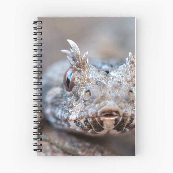 Item preview, Many-Horned Adder (Bitis cornuta) designed and sold by Pixel Press Prints.