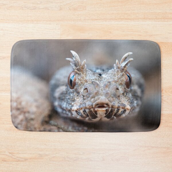 Item preview, Many-Horned Adder (Bitis cornuta) designed and sold by Pixel Press Prints.