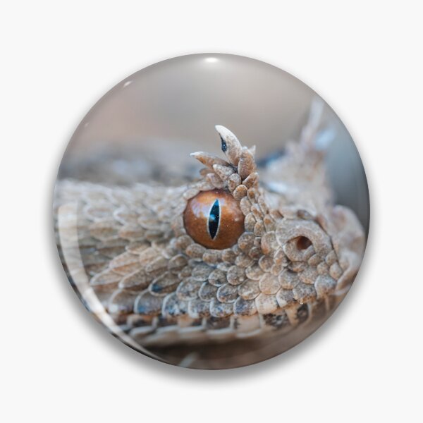 Item preview, Many-Horned Adder (Bitis cornuta) designed and sold by Pixel Press Prints.