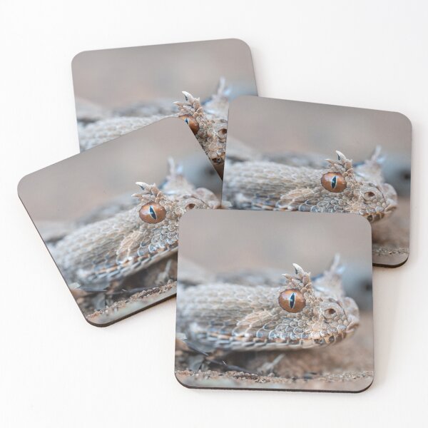 Item preview, Many-Horned Adder (Bitis cornuta) designed and sold by Pixel Press Prints.