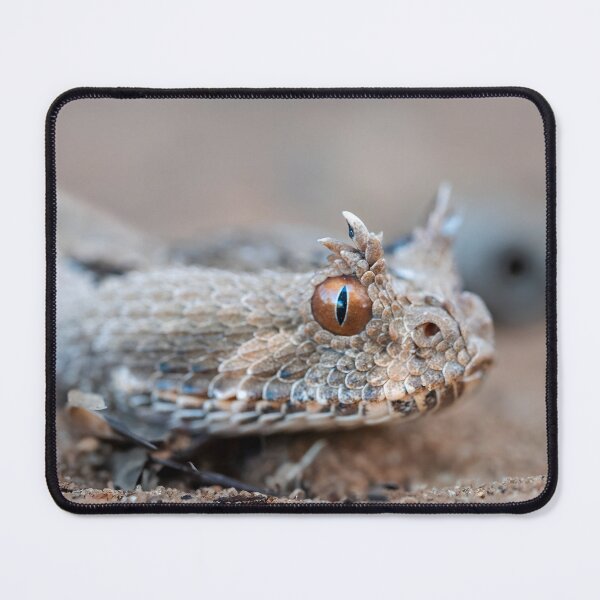 Item preview, Many-Horned Adder (Bitis cornuta) designed and sold by Pixel Press Prints.