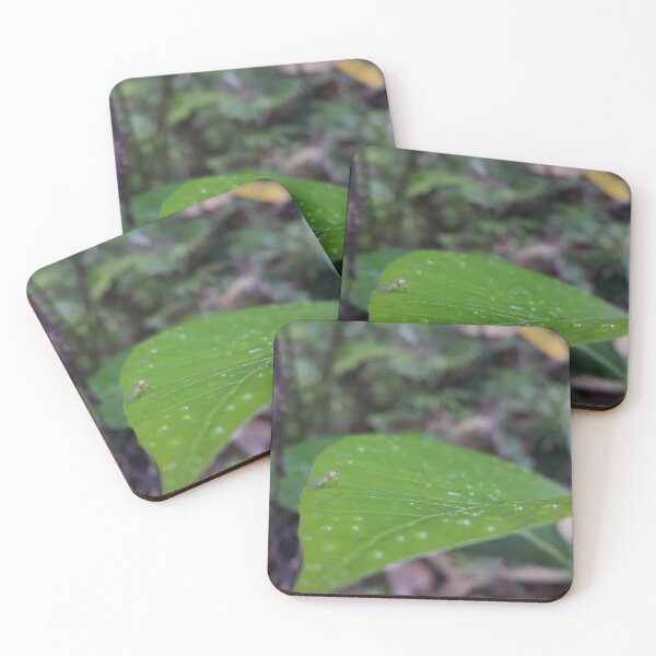 Item preview, Small animals on leaf. designed and sold by Yusuf-Design.