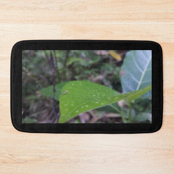Item preview, Small animals on leaf. designed and sold by Yusuf-Design.