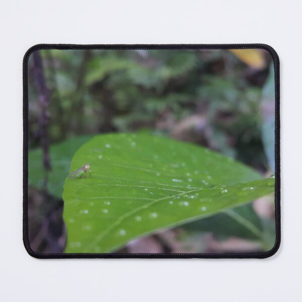 Item preview, Small animals on leaf. designed and sold by Yusuf-Design.