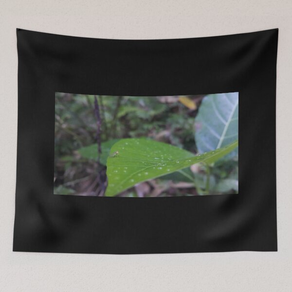 Item preview, Small animals on leaf. designed and sold by Yusuf-Design.