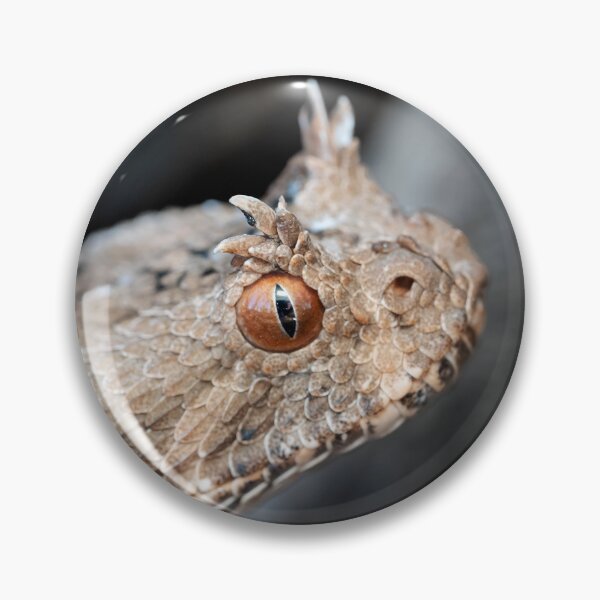Item preview, Many-Horned Adder (Bitis cornuta) designed and sold by Pixel Press Prints.