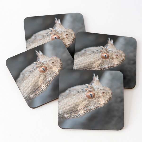 Item preview, Many-Horned Adder (Bitis cornuta) designed and sold by Pixel Press Prints.