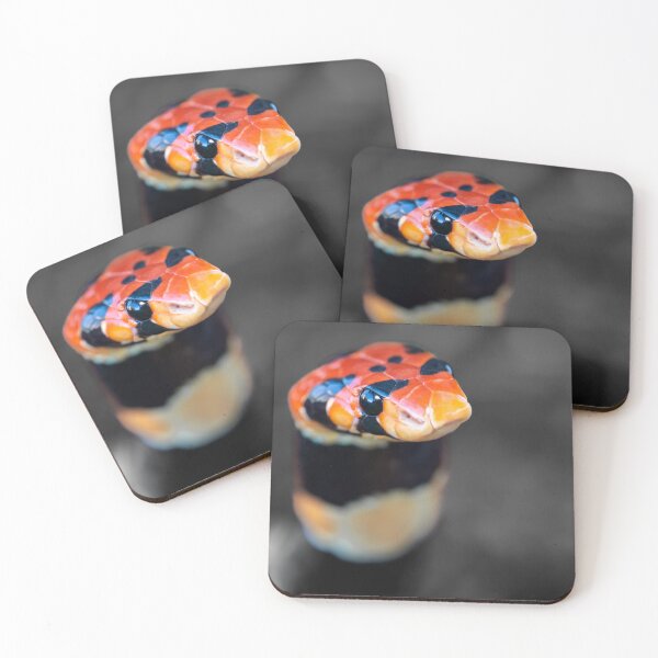 Item preview, Cape Coral Snake (Aspidelaps lubricus) designed and sold by Pixel Press Prints.
