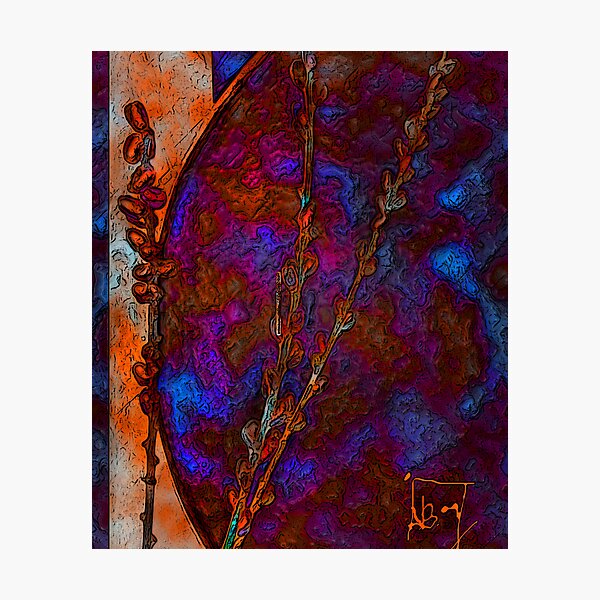 Dragon Silk with Willows Photographic Print