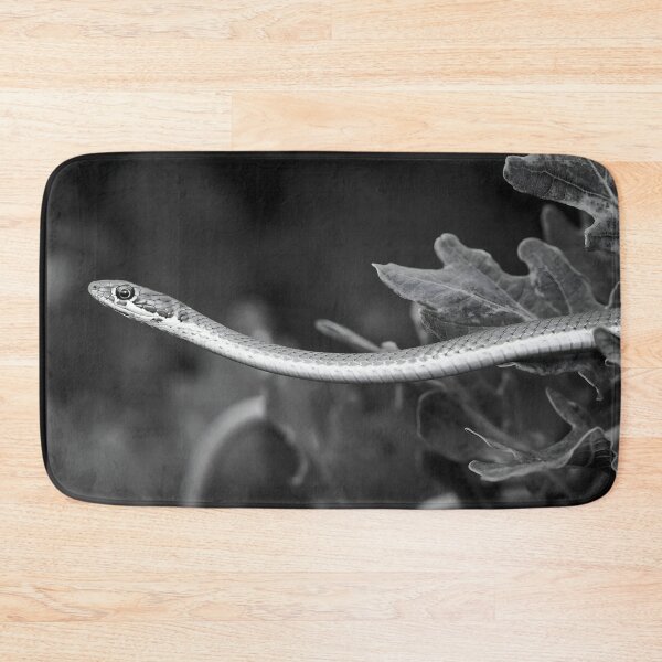 Item preview, Karoo Sand Snake (Psammophis notostictus) designed and sold by Pixel Press Prints.