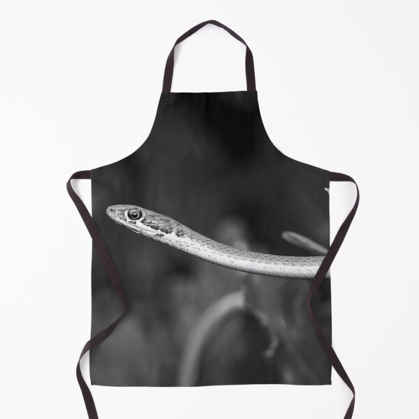 Item preview, Karoo Sand Snake (Psammophis notostictus) designed and sold by Pixel Press Prints.